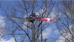 Old signals
